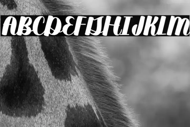 Duckpond Regular Font examples