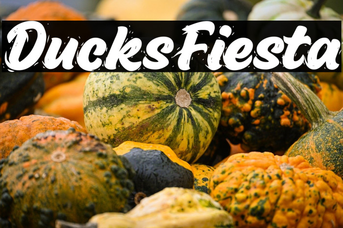 Ducks Fiesta Example 1