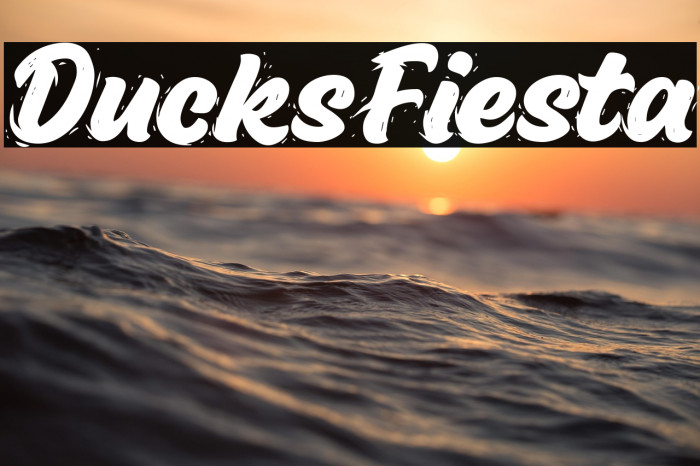 Ducks Fiesta Example 3