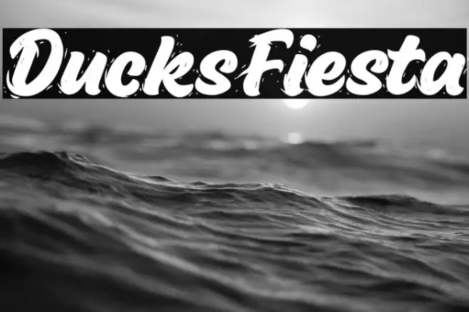 Ducks Fiesta Example 3