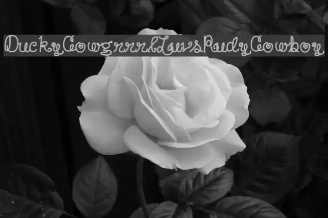 DuckyCowgrrrlLuvsRudyCowboy Font examples