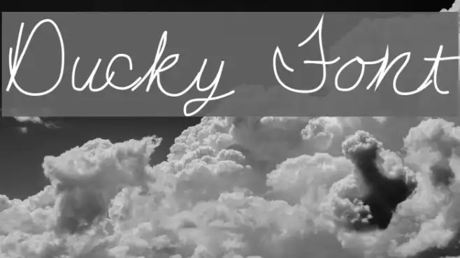 Ducky Example 2