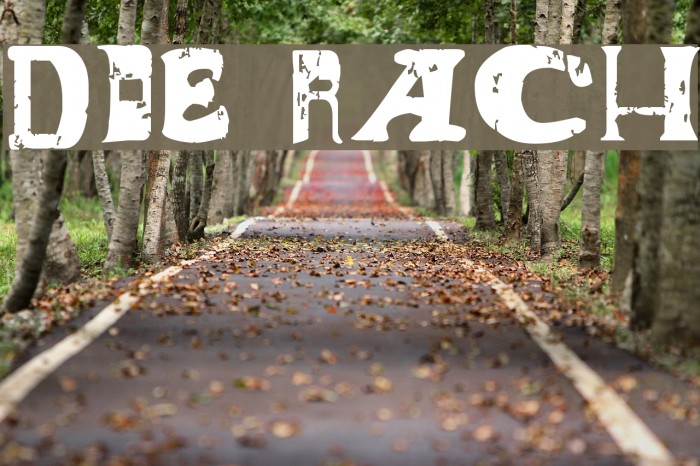 Dude Ranch Font examples