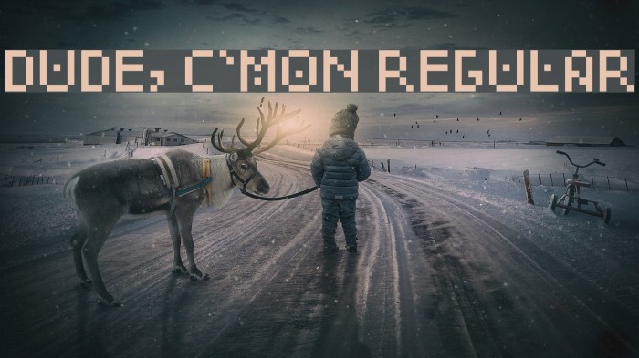 Dude, c'mon Regular Example 1