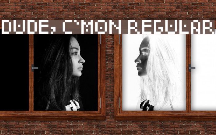 Dude, c'mon Regular Example 2