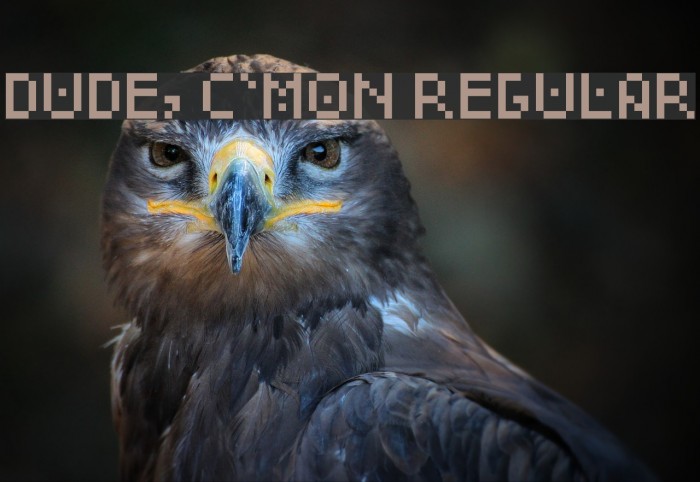 Dude, c'mon Regular Example 3