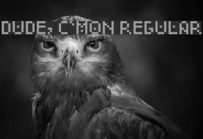 Dude, c'mon Regular Font examples