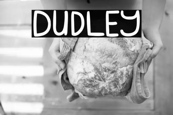 Dudley Example 2