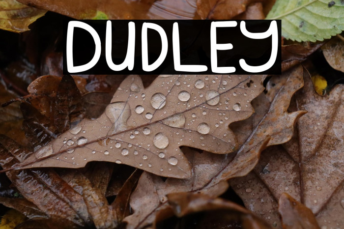 Dudley Example 3