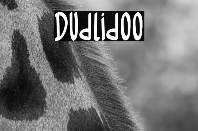 Dudlidoo Example 2