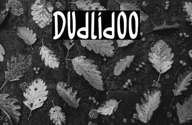 Dudlidoo Example 3