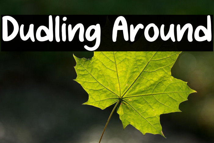 Dudling Around Example 2