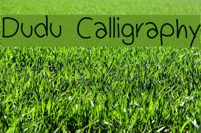 Dudu Calligraphy Font examples