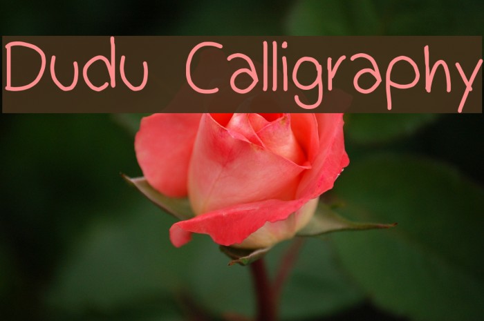 Dudu Calligraphy Font examples