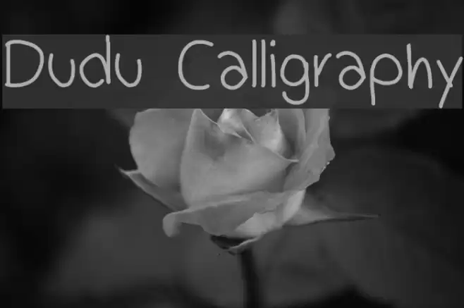 Dudu Calligraphy  examples