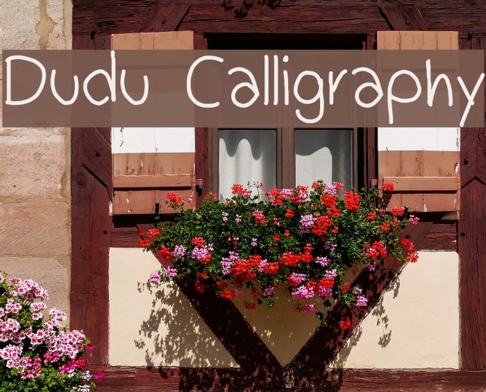 Dudu Calligraphy Font examples