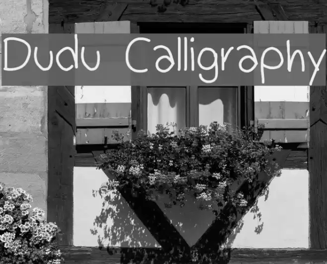 Dudu Calligraphy  examples