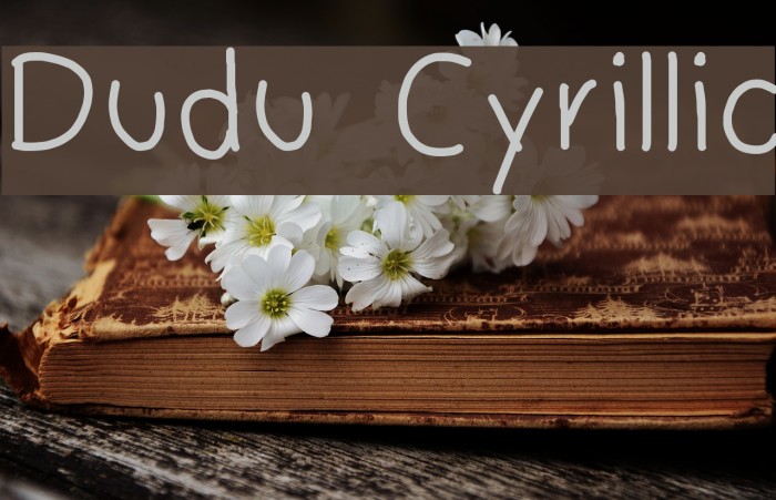 Dudu Cyrillic Font examples