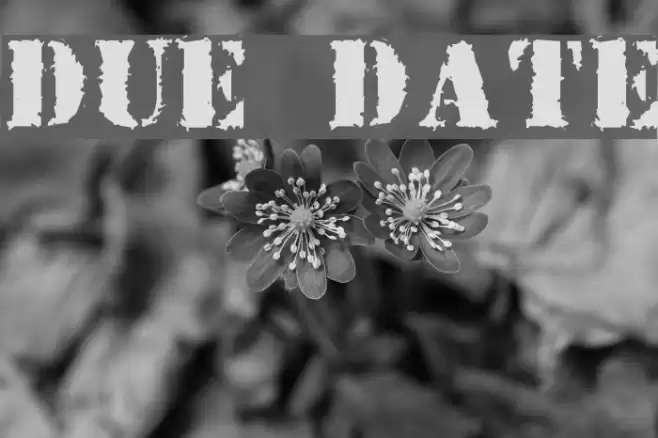 Due Date Font examples