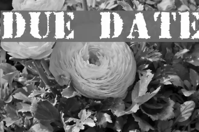 Due Date Font examples