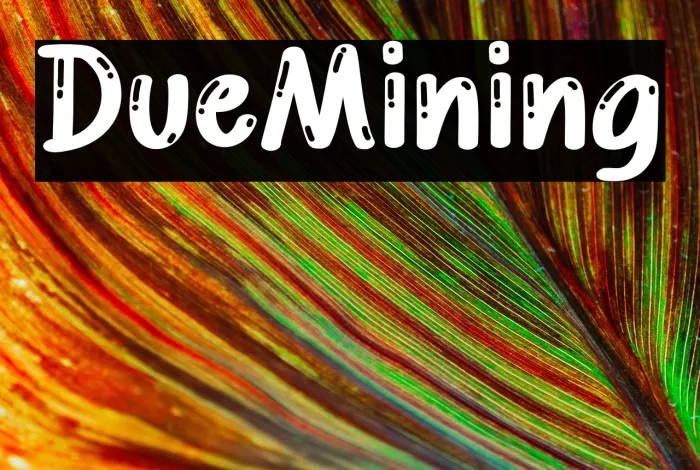 Due Mining Example 1