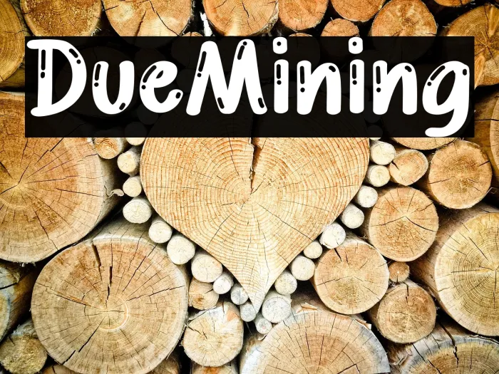 Due Mining Example 2