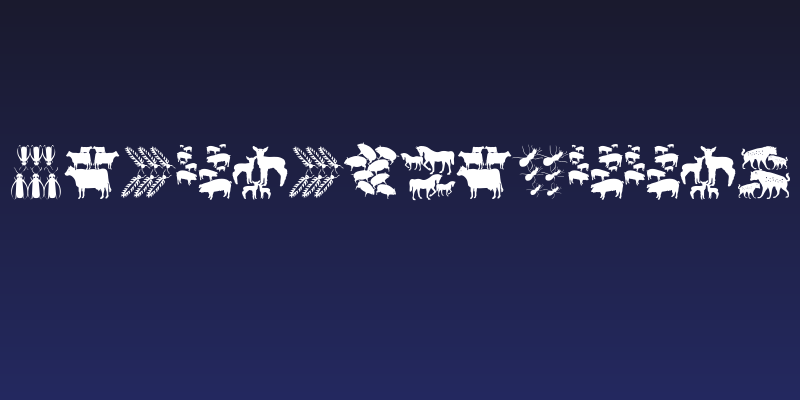 DueTresQuattro Social Header