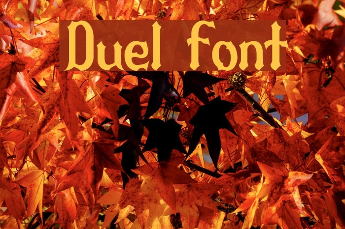 Duel Example 1