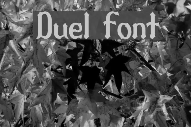 Duel Font examples