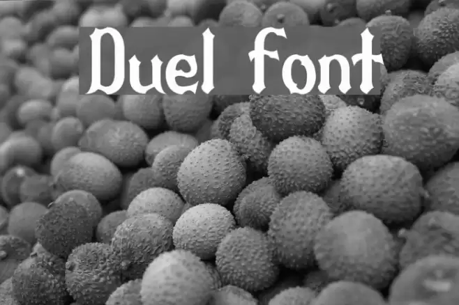 Duel Font examples