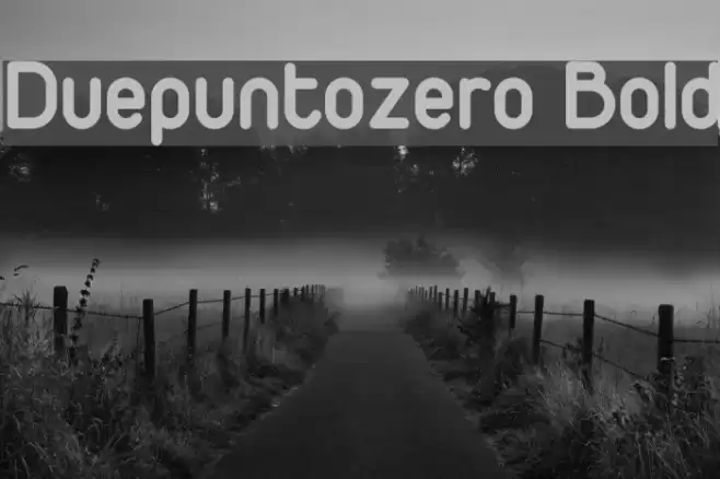 Duepuntozero Bold Font examples