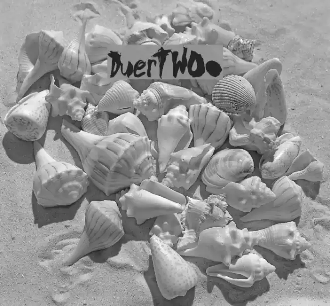 DuerTWOo Font examples