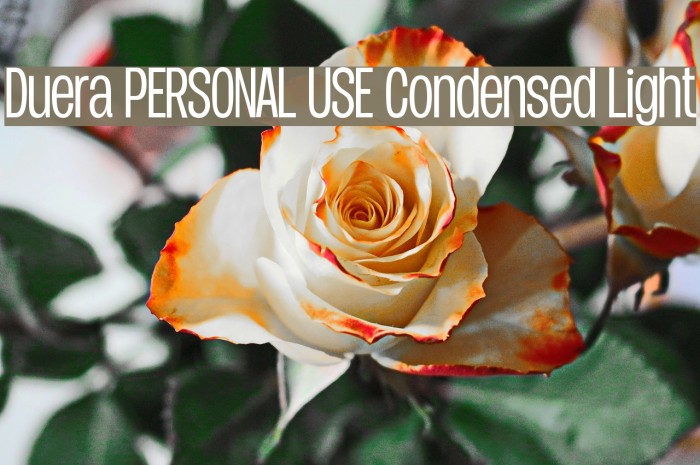 Duera PERSONAL USE Condensed Light Font examples