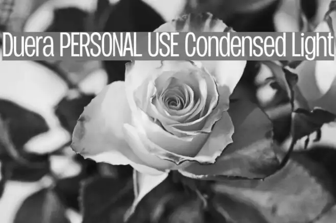 Duera PERSONAL USE Condensed Light Example 2