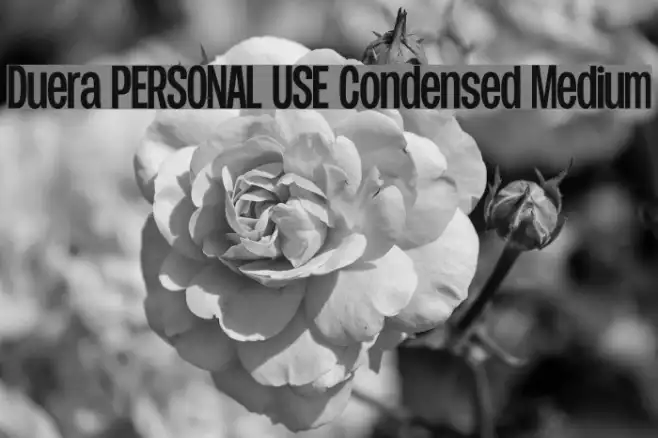 Duera PERSONAL USE Condensed Medium Example 2
