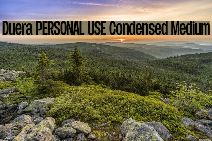 Duera PERSONAL USE Condensed Medium Font examples
