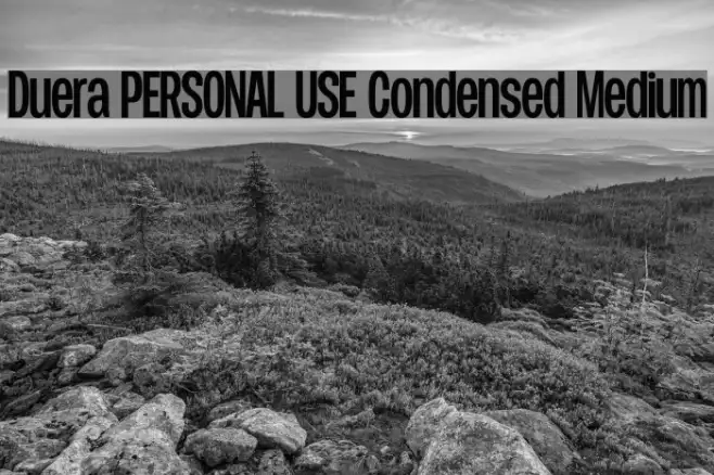 Duera PERSONAL USE Condensed Medium Example 3