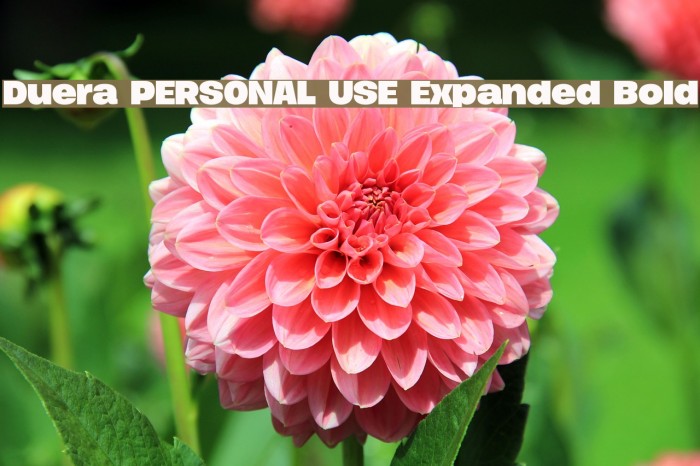 Duera PERSONAL USE Expanded Bold Font examples