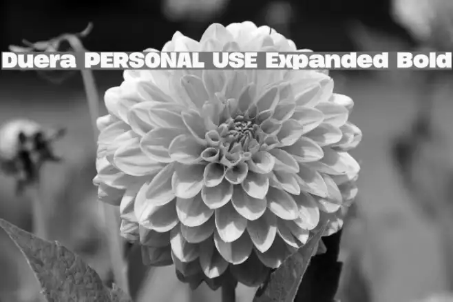 Duera PERSONAL USE Expanded Bold Example 3