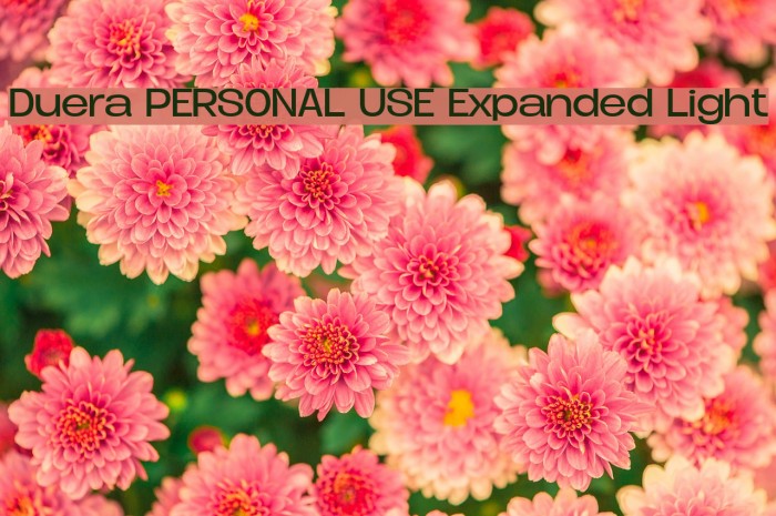 Duera PERSONAL USE Expanded Light Font examples
