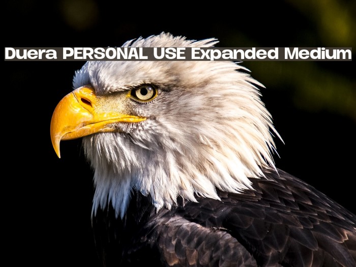 Duera PERSONAL USE Expanded Medium Example 3