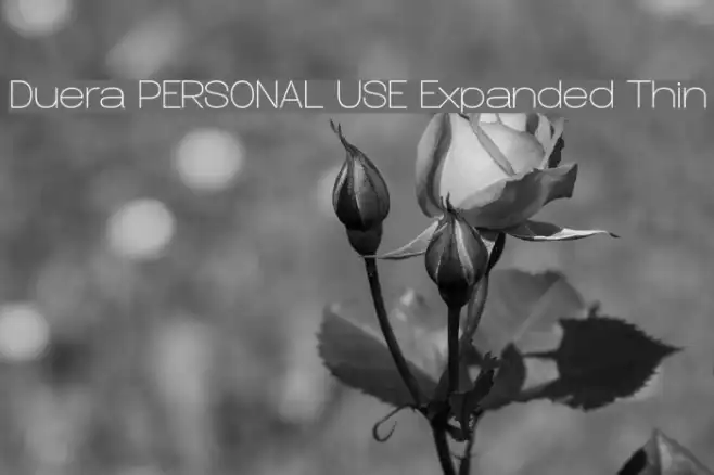 Duera PERSONAL USE Expanded Thin Example 2