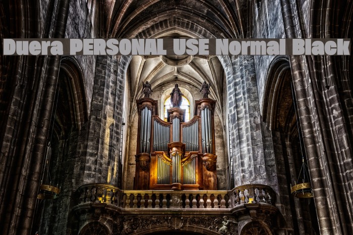 Duera PERSONAL USE Normal Black Example 1