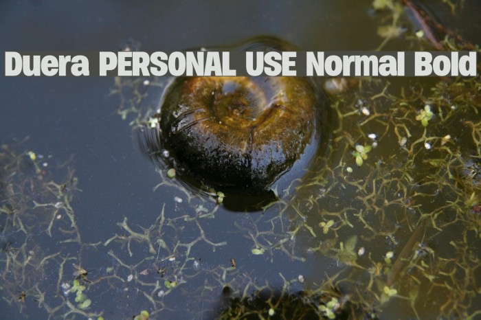 Duera PERSONAL USE Normal Bold Font examples