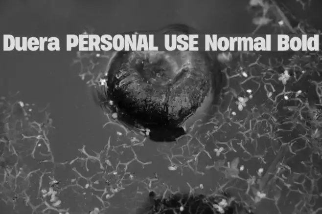 Duera PERSONAL USE Normal Bold Example 1
