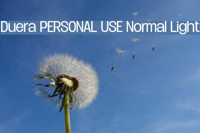 Duera PERSONAL USE Normal Light Font examples