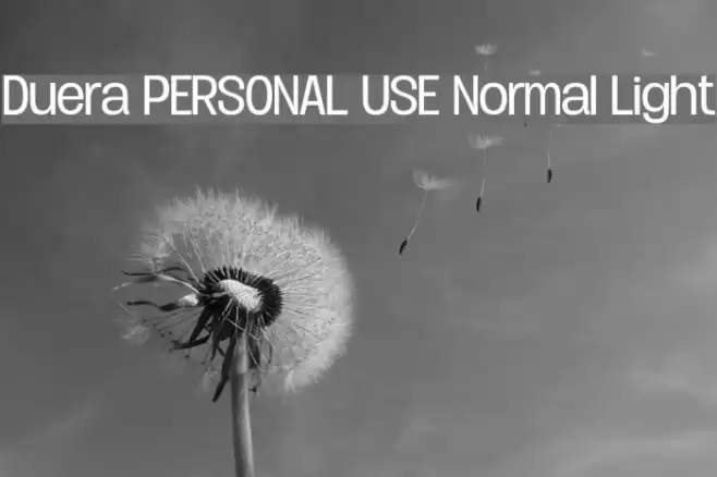 Duera PERSONAL USE Normal Light Example 2