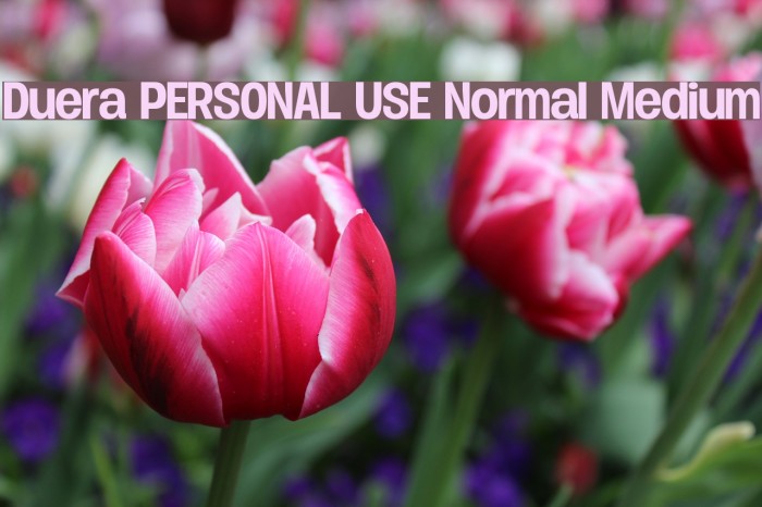 Duera PERSONAL USE Normal Medium Font examples