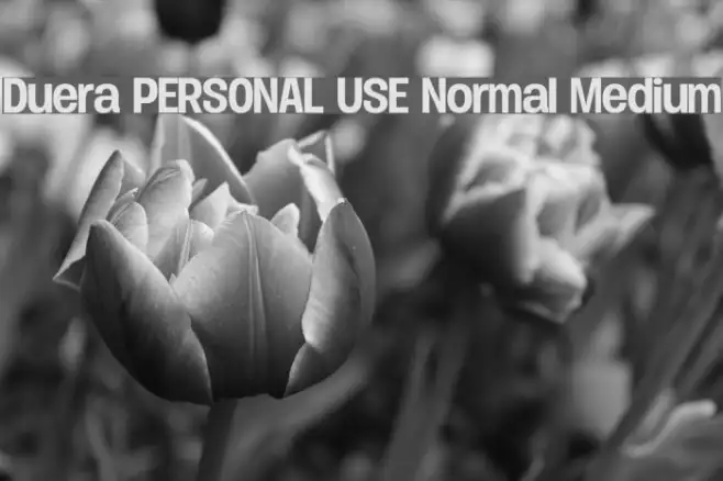 Duera PERSONAL USE Normal Medium Example 3