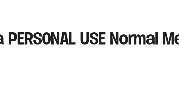 Duera PERSONAL USE Normal Medium Logo